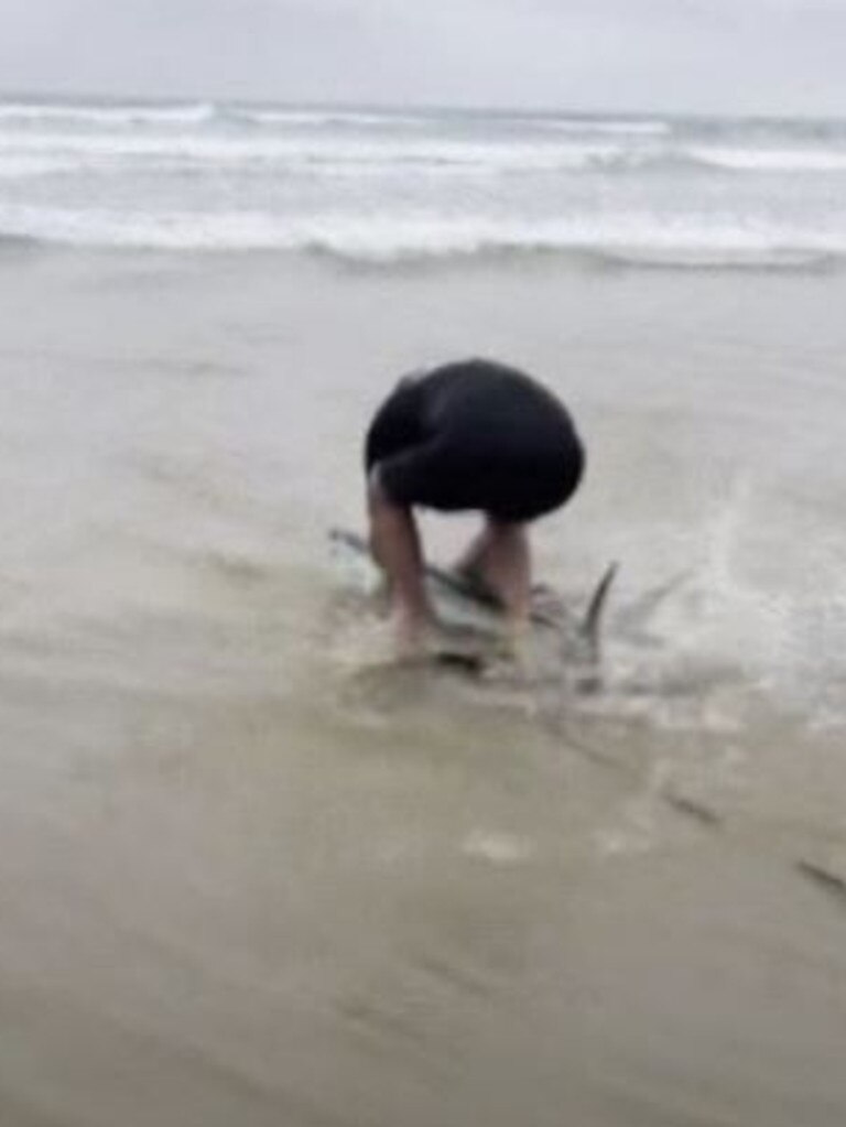 Paul tried to move the shark with his surfboard, with no luck. Picture: Lillie Wilson / ABC