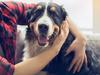 One thing every new pet owner should know