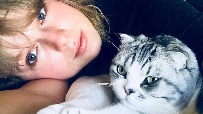 Taylor Swift is known for her love of cats.