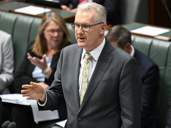 CANBERRA, AUSTRALIA  - NewsWire Photos - March 26, 2025: Leader of the House, Minister for Home Affairs and Minister for the Arts, Tony Burke during Question Time at Parliament House in Canberra. Picture: NewsWire / Martin Ollman
