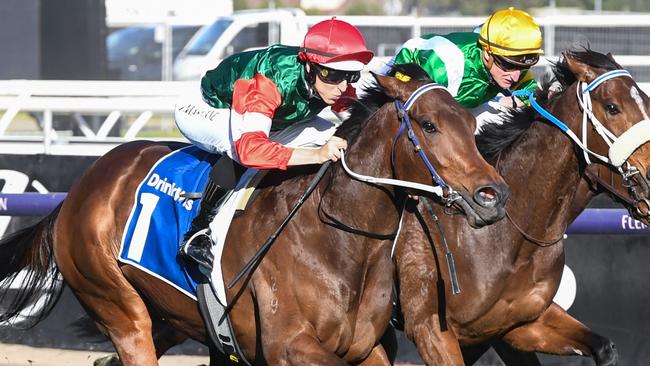 Amelia's Jewel ridden by Damian Lane wins the Furphy Let's Elope Stakes at Flemington Racecourse on September 16, 2023 in Flemington, Australia. (Photo by Brett Holburt/Racing Photos via Getty Images)