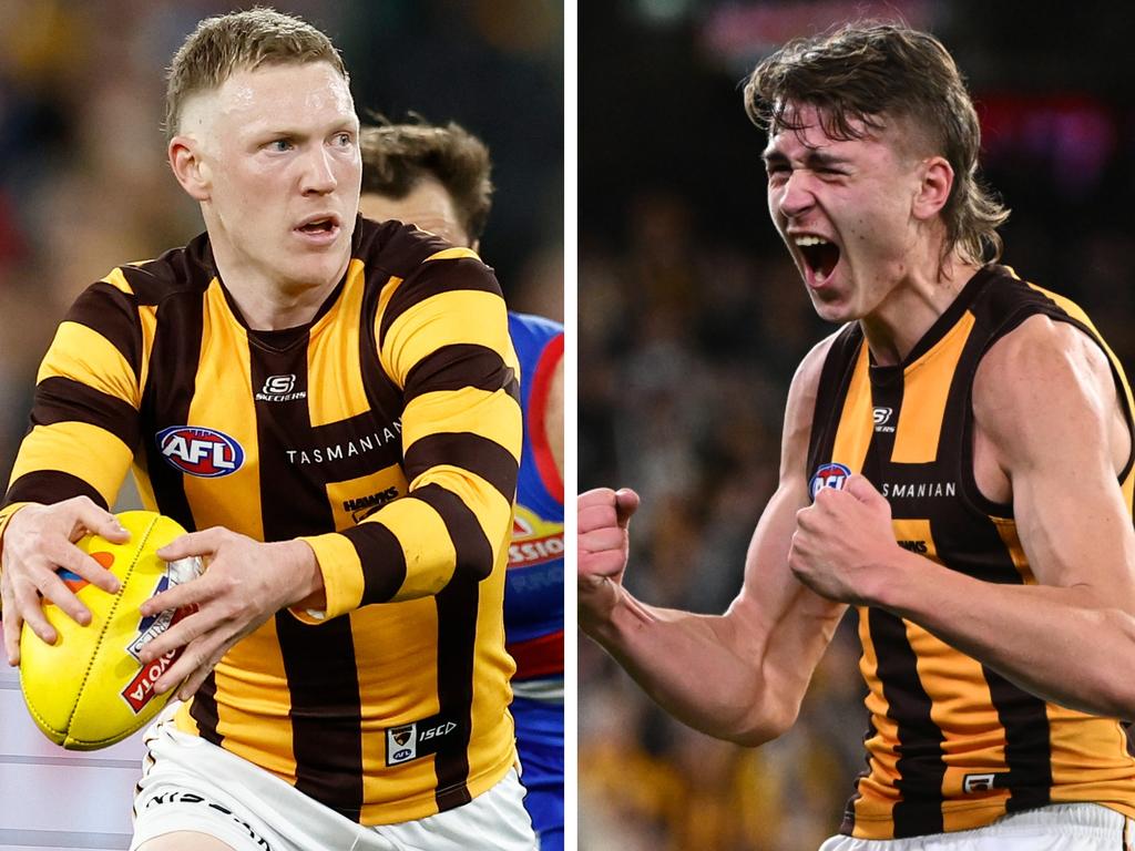 The Hawthorn Hawks player ratings.