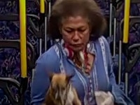 A bus advised a woman that dogs were not permitted onboard the bus and that he would call police if she didn’t alight. After first refusing to leave the bus and sitting on a rear seat, the woman stood up and walked towards the bus driver and spat on him before she left the bus via the front doors. CCTV grab of the woman on the bus. Source: NSW Police