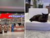 ‘Obsessed’: Aussies rush for $19 Kmart item