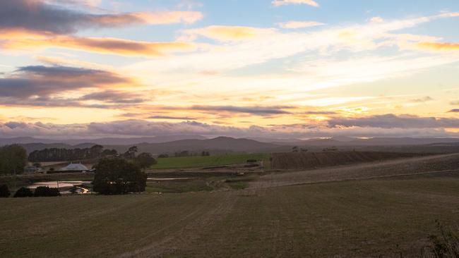 A tranquil view of Marion's Vineyard, at Deviot on the Tamar River, at dusk, which Farmer Wants A Wife contestant Nick Onassis owns.