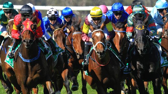 Loving home ridden by Tye Angland  (yellow cap, maroon with yellow armbands) wins race 1 during Scone  Races located in the Upper Hunter Region of NSW. The Bend . Pic Jenny Evans