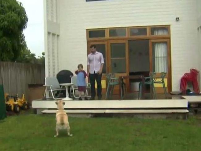 They even had room for a backyard. Picture: Nine News