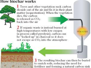 Biochar