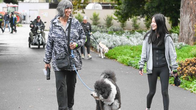 Million Paws Walk at Adelaide Botanic Gardens. Picture: Brenton Edwards