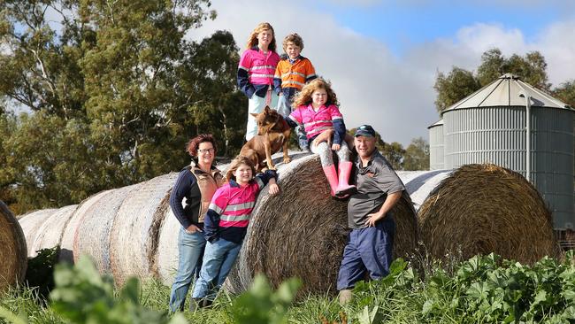 Family affair: Dairy farmer Dehne Vinnicombe with wife Sarah and kids Henry, Teagen, Macey and Hollee, and dog Sid. Picture: YURI KOUZMIN