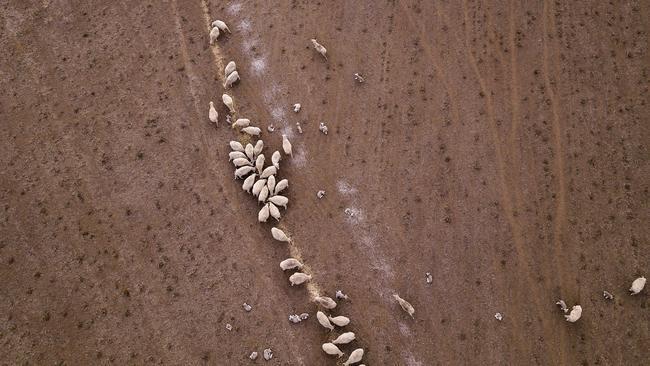 Drought is possible during an El Nino weather system. Picture: Getty Images