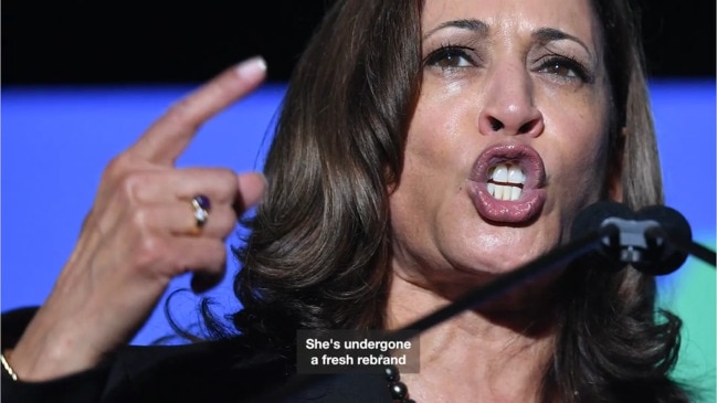 Meaning behind ‘disgusting’ three-letter Kamala Harris slur