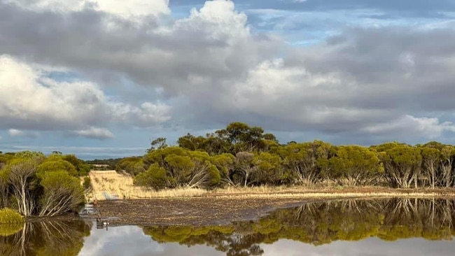 Flooded farmland near Kimba. Picture: Tara Kenny