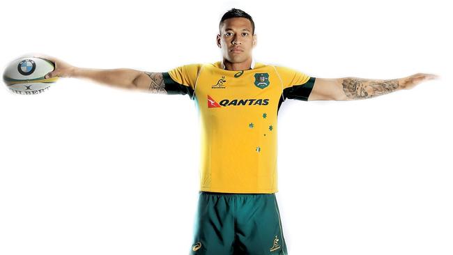 Wallabies portraits