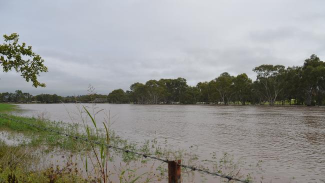 Taken from the southern bank of the Condamine. Warwick floods, March 30, 2017.