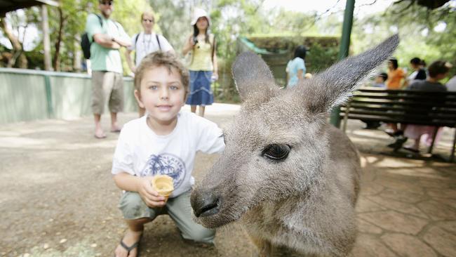 Andre Finch, 5, of Baulkham Hills on Australia Day 2007. Picture: Isabella Lettini