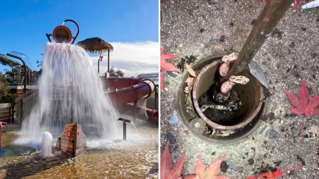 Image: Supplied, TikTok / @zoomdrainfranchise.