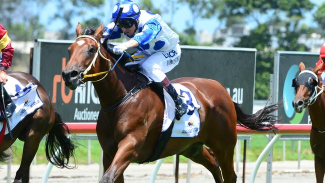 Jockey Paul Hammersley on Junction at the Gold Coast. Picture: Grant Peters, Trackside Photography.