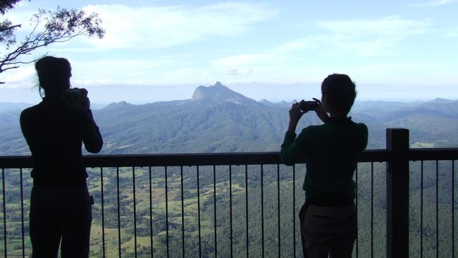 Blackbutt Lookout in the Border Ranges National Park