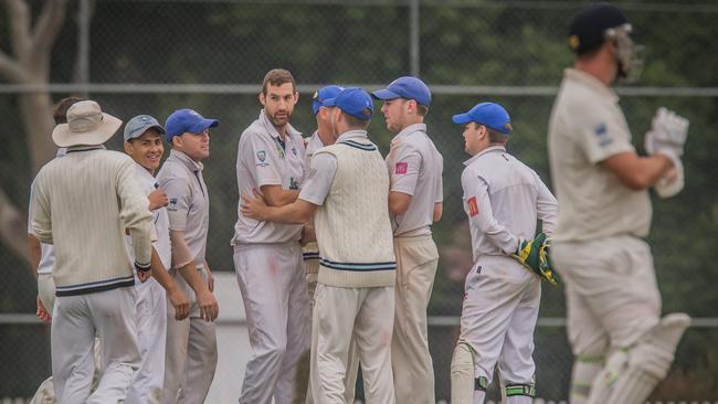 Lane Cove Cricket Club celebrate a wicket during the 2019/20 season. Picture: Facebook