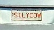 NT funny number plate, SILYCOW. Picture: Facebook / Lizzie Lily Cyprus