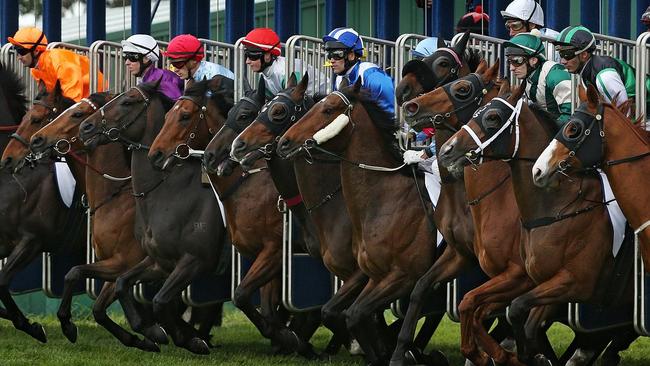 Caulfield Races