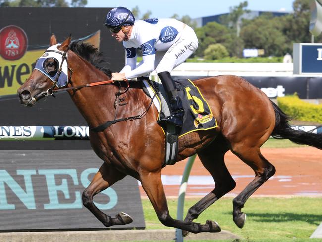 Canasta looks well placed to breakthrough at Randwick. Picture: Grant Guy