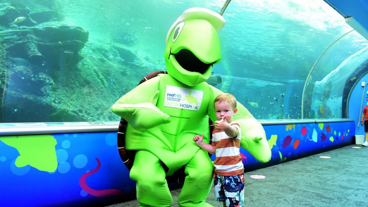 Reef HQ Aquarium's farewell party before they close for renovations. Leyton Krouse 2. Picture: Alix Sweeney