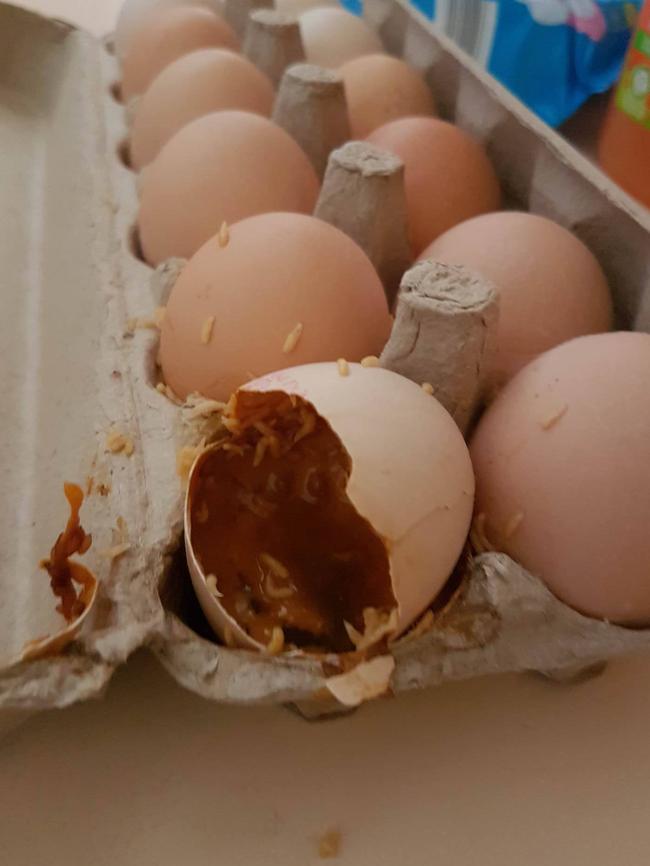 The eggs bought from Aldi on February 8 with a use by date of February 7. Picture: Supplied