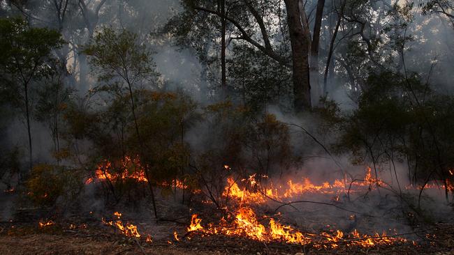 NSW landholders will be permitted to clear native vegetation up to 25m from their home, after NSW cabinet agreed to the measure on Tuesday night. Picture: Getty Images