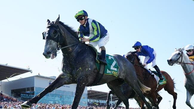 Tabcorp chairman Paula Dwyer said the company would have ‘zero tolerance to animal cruelty’ after recent media revelations about the racing industry. Picture: Michael Dodge