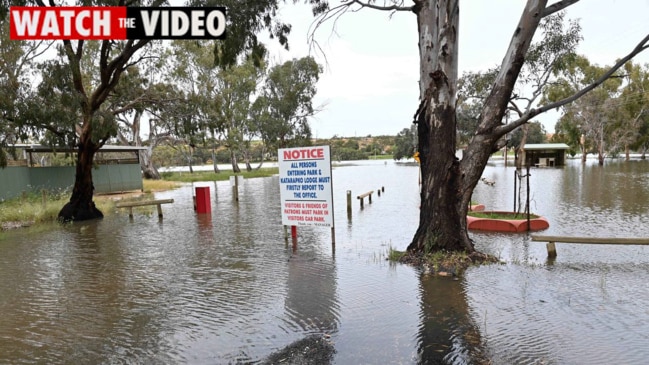 Man found dead in floodwaters near Nathalia