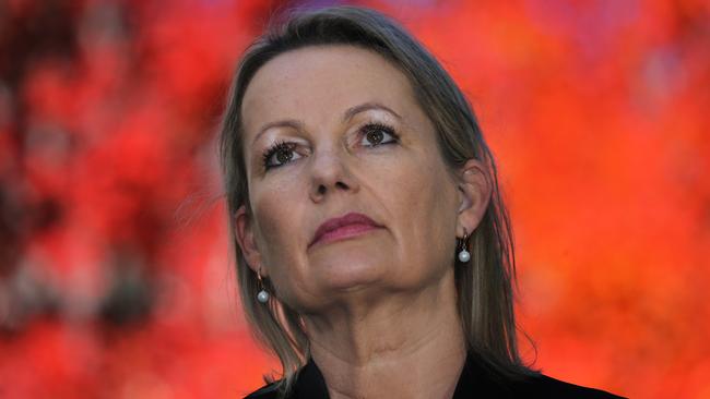 Federal Environment Minister Sussan Ley. Picture Gary Ramage