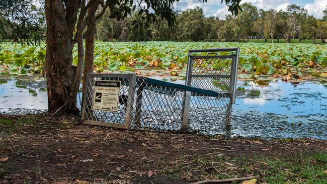 An alleged one metre crocodile was reported at the Marlow Lagoon dog park on January 17. Picture: Pema Tamang Pakhrin