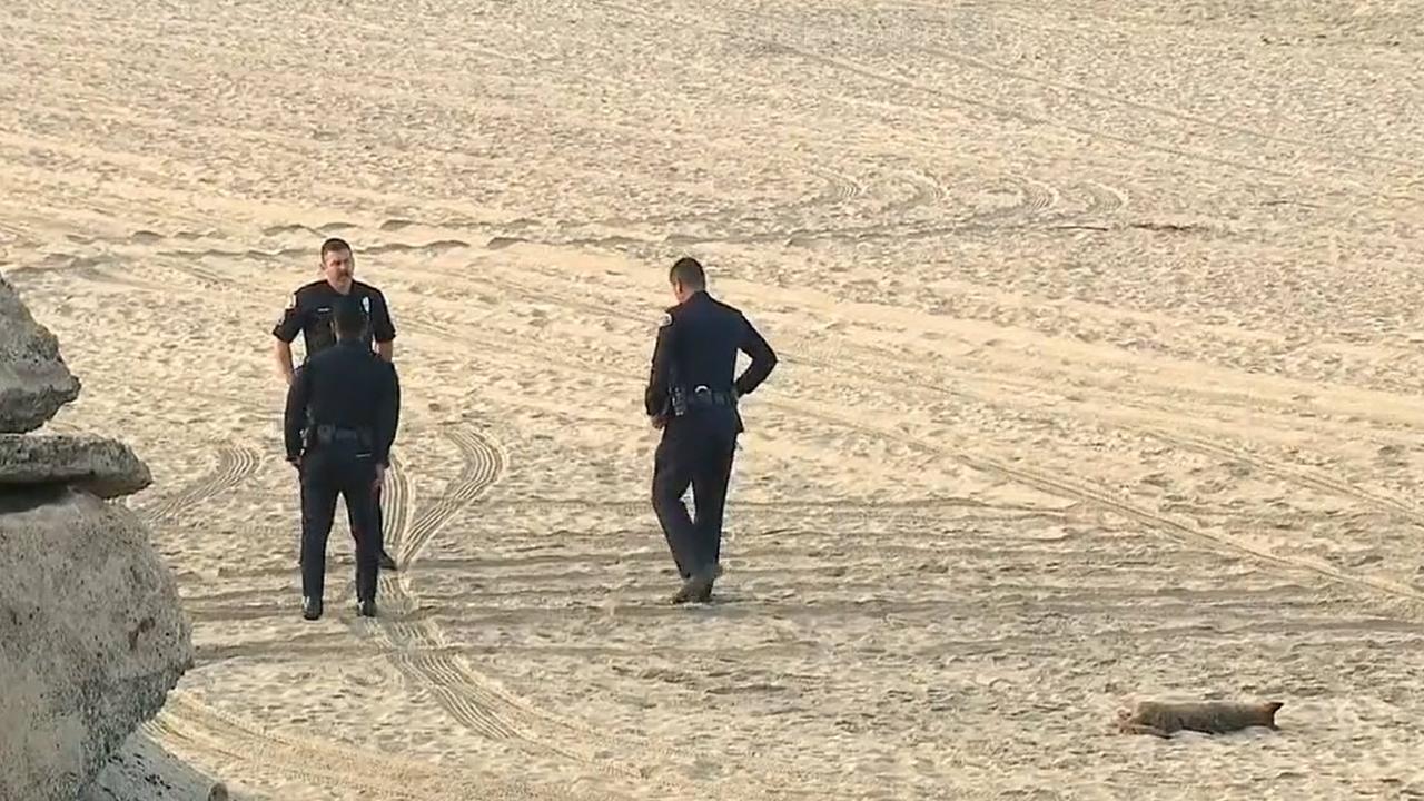 Officials stand by a coyote that was shot.