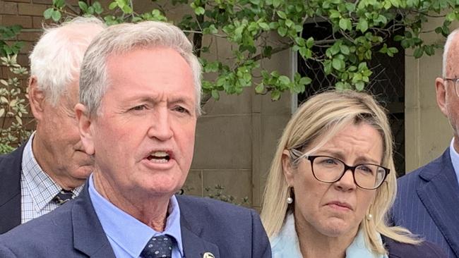 Opposition leader Shane Love and Liberal leader Libby Mettam. Ms Mettam could now push to be the new opposition leader following the shock defection of Merome Beard.