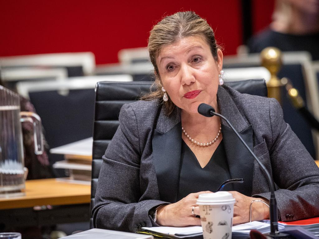 Industrial Relations Minister Sophie Cotsis says she was born and raised in her electorate of Canterbury. Picture: NCA NewsWire / Christian Gilles