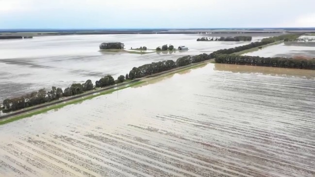 Storms Bring Flooding Rain to Farms in Drought-Stricken South-East Queensland