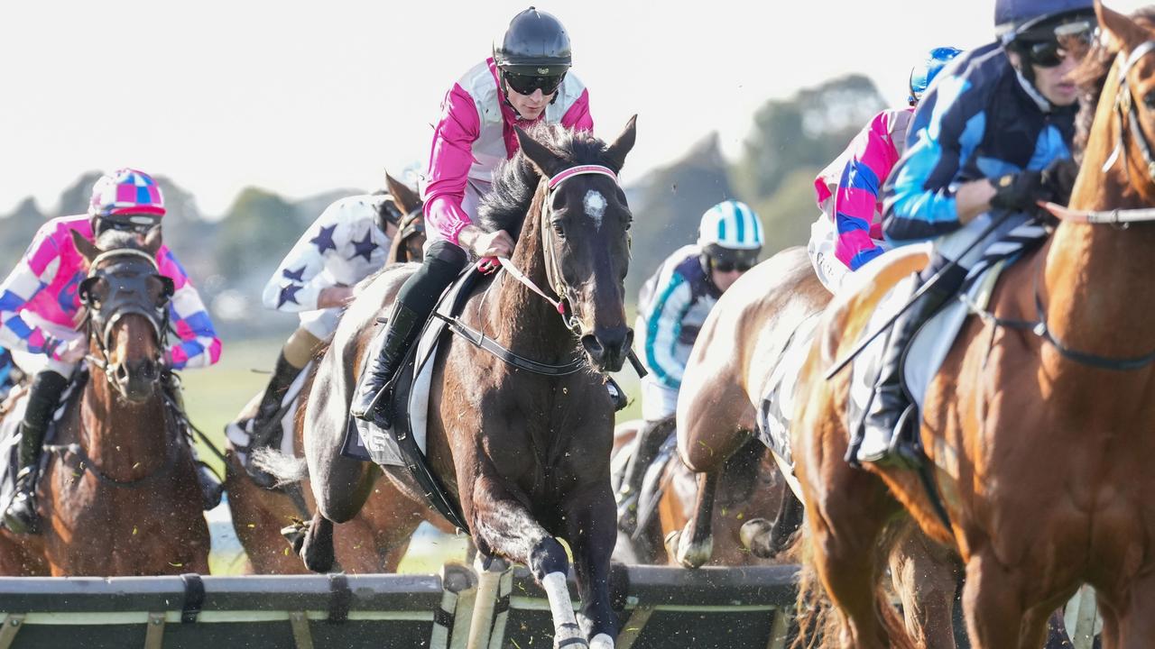 Affluential winning the Grand National Hurdle at Sandown Lakeside in August. Photo: Scott Barbour/Getty Images.