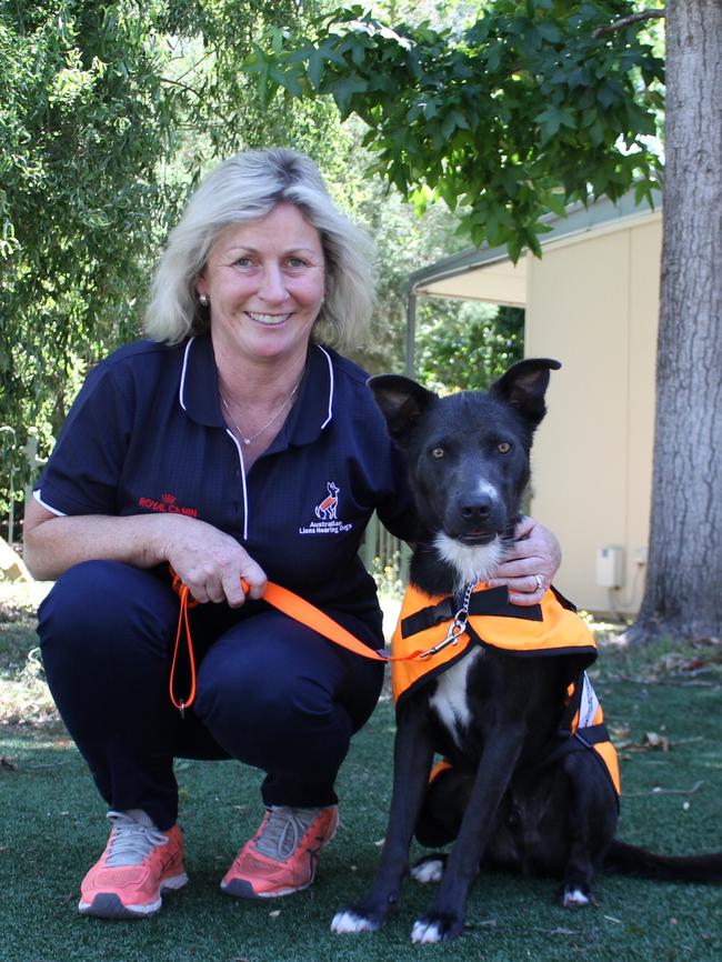 Rescue dog Logan was trained by Sharon Taylor to become an assistance dog.