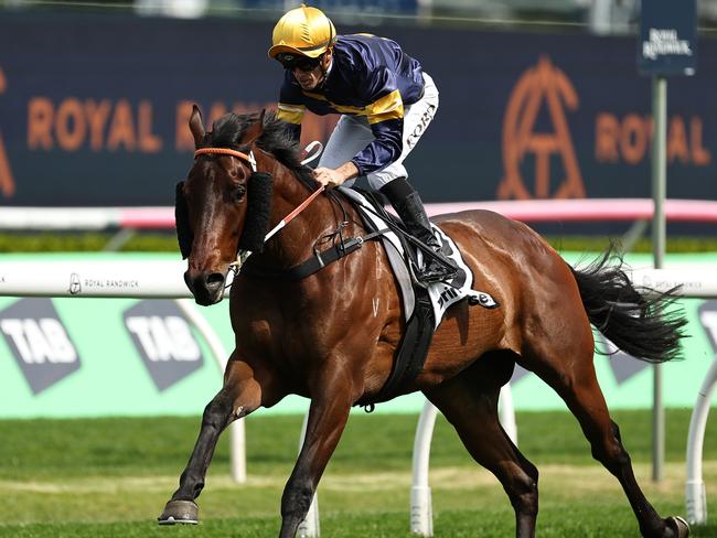 SYDNEY, AUSTRALIA - OCTOBER 05: Jay Ford riding Swiftfalcon   wins Race 4  Drinkwise Dulcify Stakes during Sydney Racing at Royal Randwick Racecourse on October 05, 2024 in Sydney, Australia. (Photo by Jeremy Ng/Getty Images)