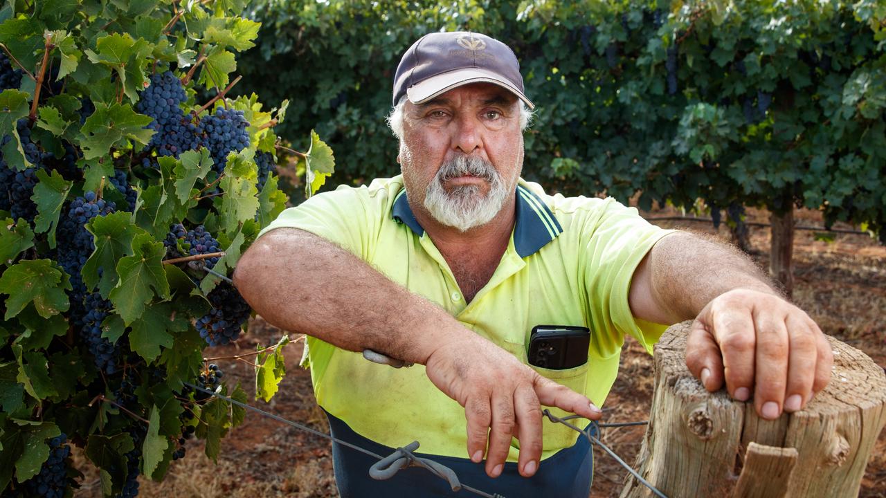 Riverland, Sunraysia and Riverina are trapped in grape oversupply ...