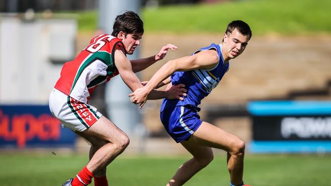 Promising forward Luca Whitelum in action for Sacred Heart College. Picture: Tom Huntley