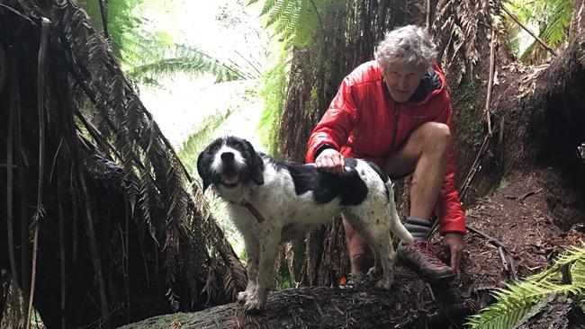 Missing Launceston man Bruce Fairfax who disappeared at Duckhole Lake track, south of Dover in 2017. This photo was taken of him shortly before he disappeared. Picture: Twitter