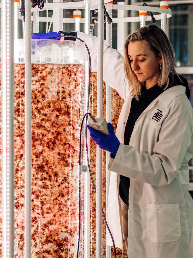 Research lab at Sea Forest in Tasmania. Picture: Supplied