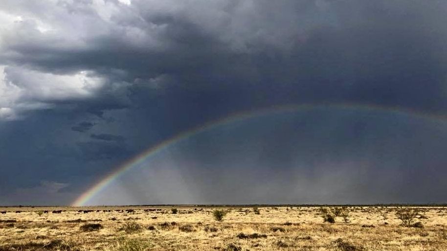 More Than 100mm Of Rain Drenches Dry CQ Towns In Storm | The Courier Mail