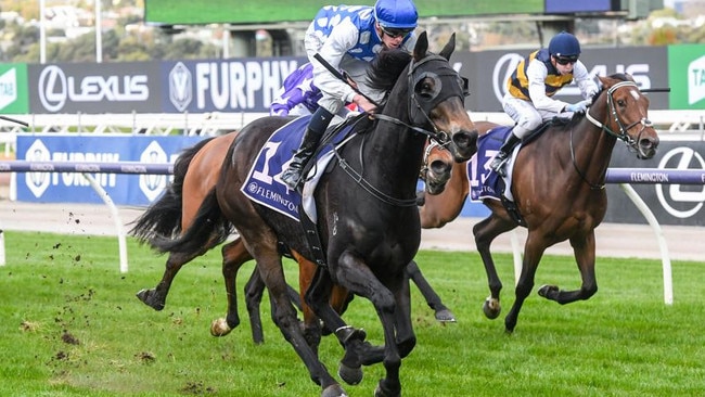 Handy galloper Excelleration has won the Launceston and Adelaide Cups at his last two starts. Picture: Racing Photos via Getty Images.