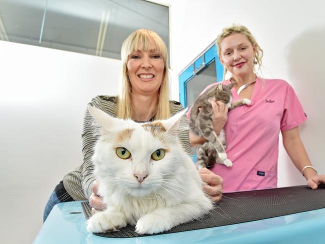 Ms Welford and vet nurse Shelley Fenton. Ms Welford has boarded the remaining six Eveleigh Street cats with a vet. Picture: AAP Image/Troy Snook.