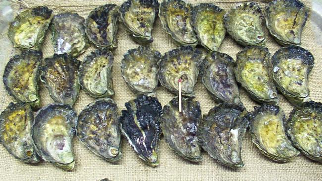 Delicious ... the south coast is famous for its fresh oysters