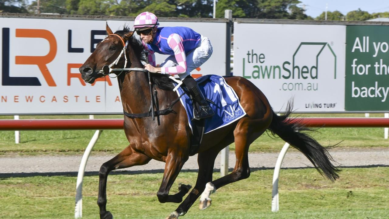 Lees is chasing more than the Gold Cup with Tavi Time